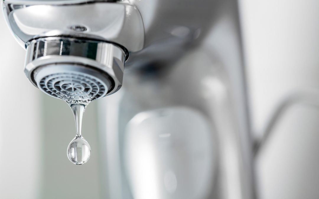 5 Ways To Save Water During The Summer